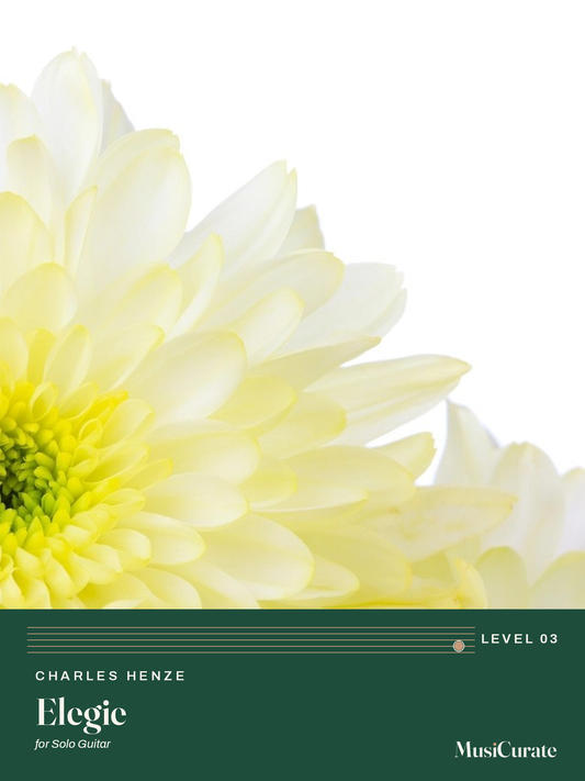 Elegie MusiCurate cover
