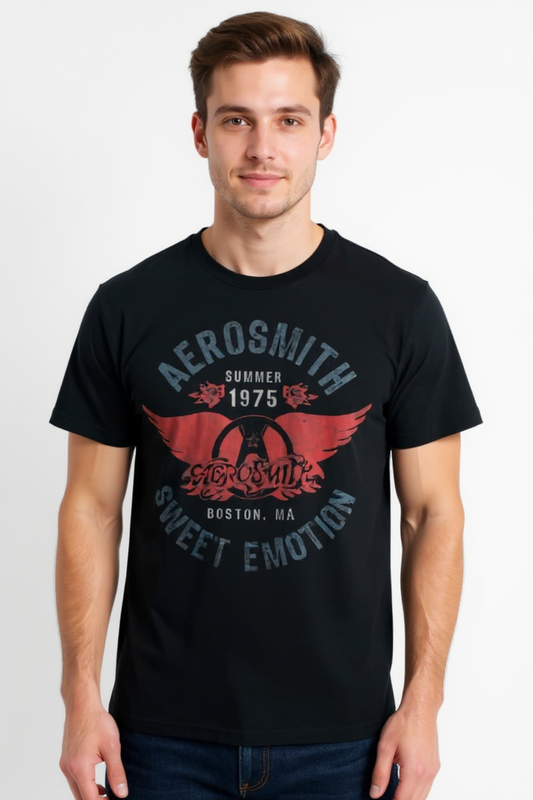 Aerosmith Summer 75 T-Shirt (Black)