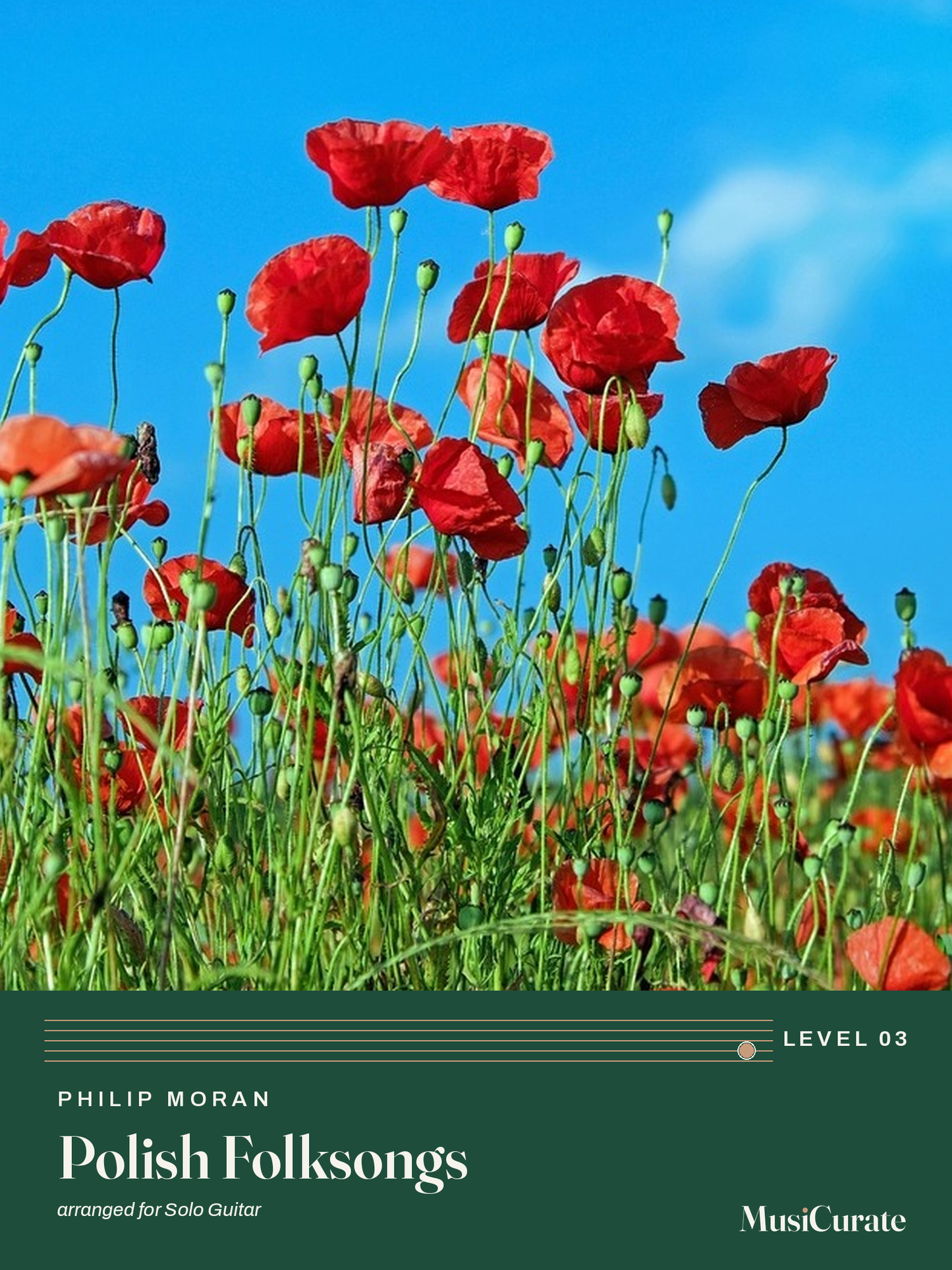 Polish Folksongs MusiCurate cover