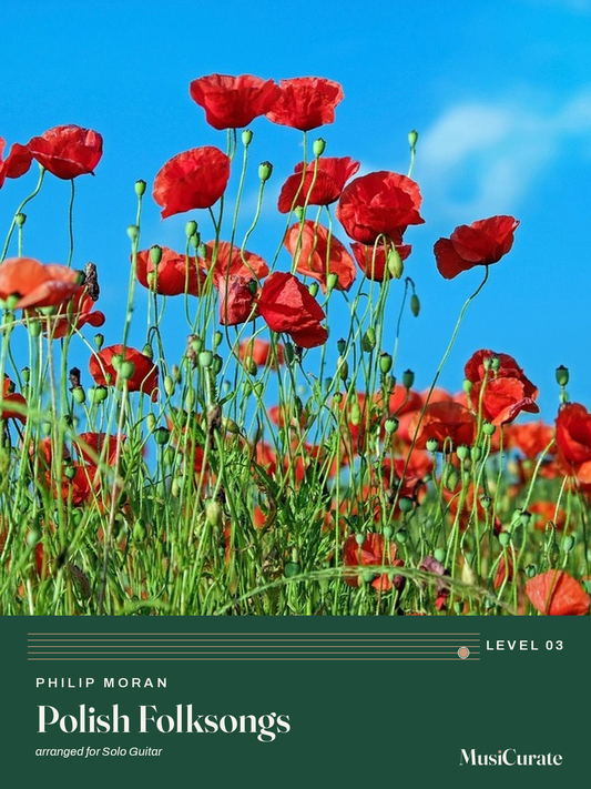 Polish Folksongs MusiCurate cover