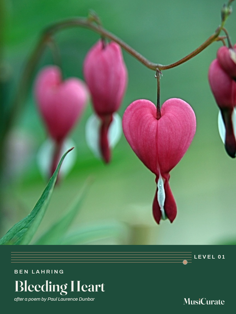 Cuore sanguinante