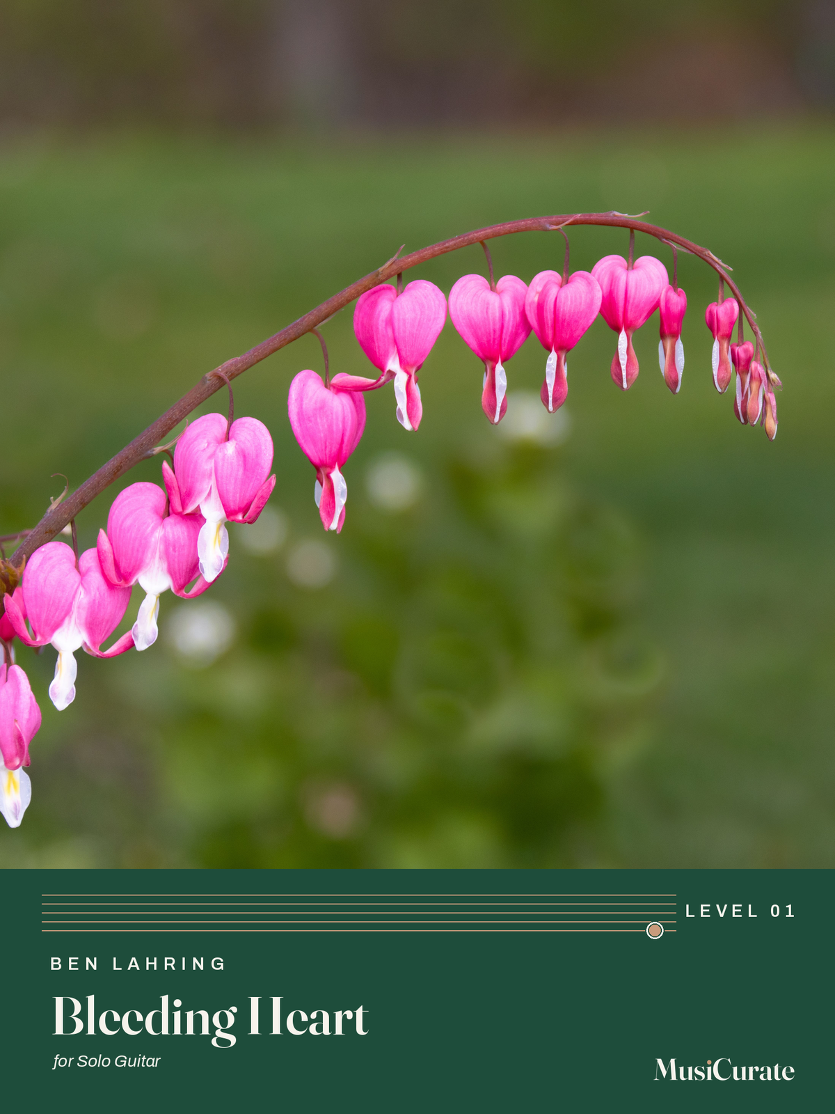 Bleeding Heart: front cover