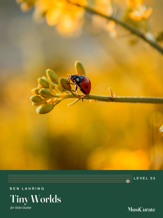 Tiny Worlds: front cover