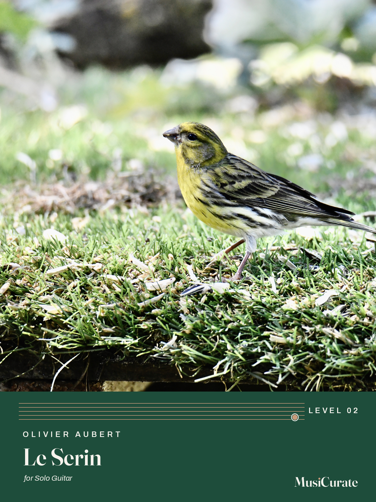 Le Serin: front cover