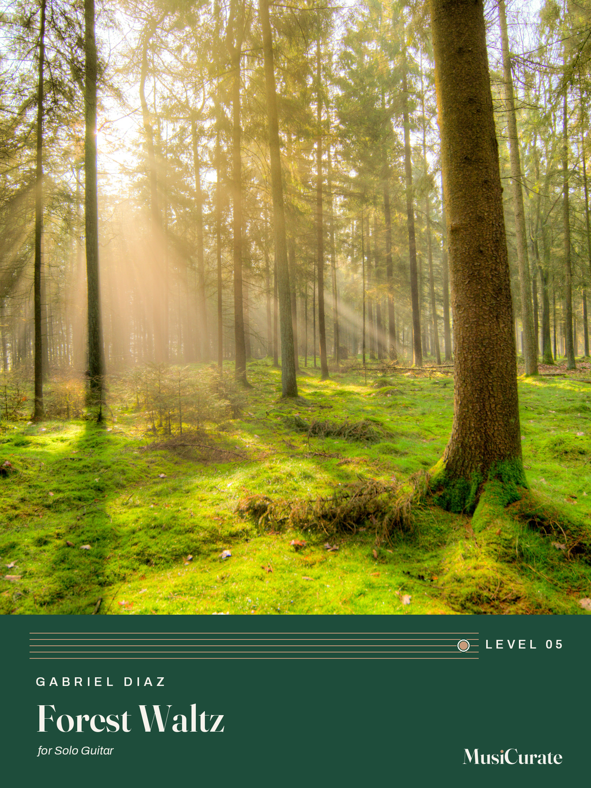 Forest Waltz: front cover