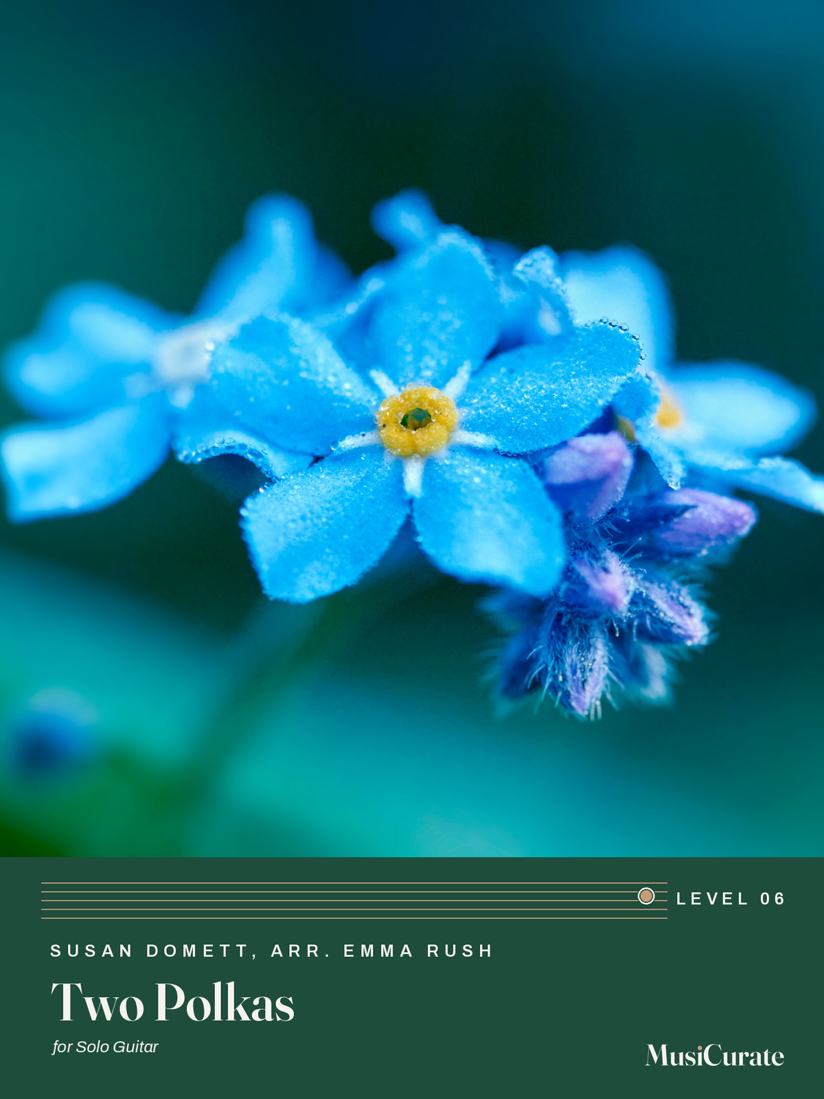 Two Polkas: front cover