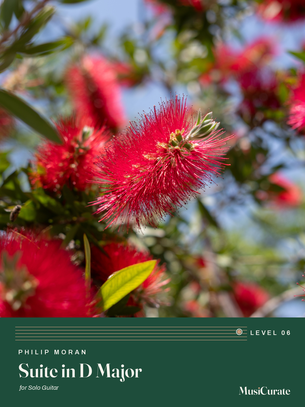 Suite in D Major: front cover