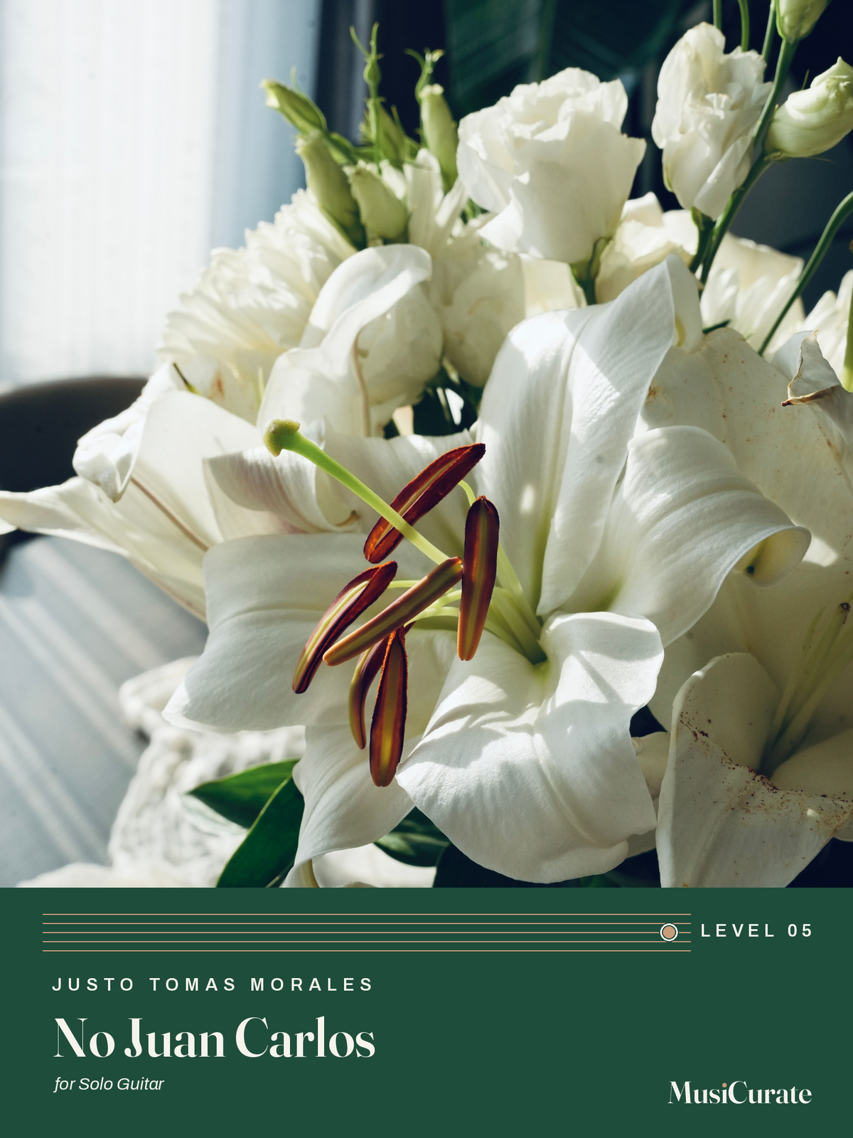 No Juan Carlos: front cover