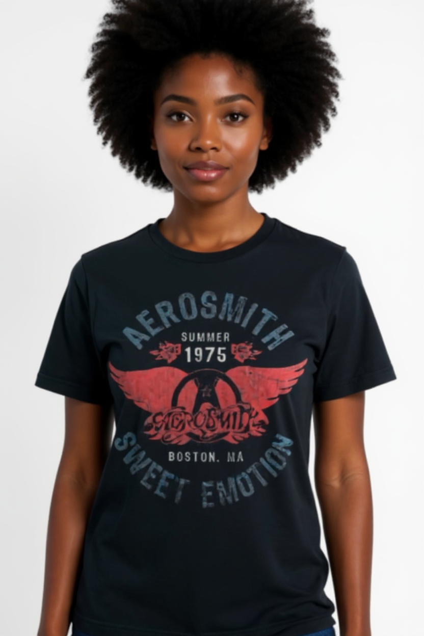 Aerosmith Summer 75 T-Shirt (Black)