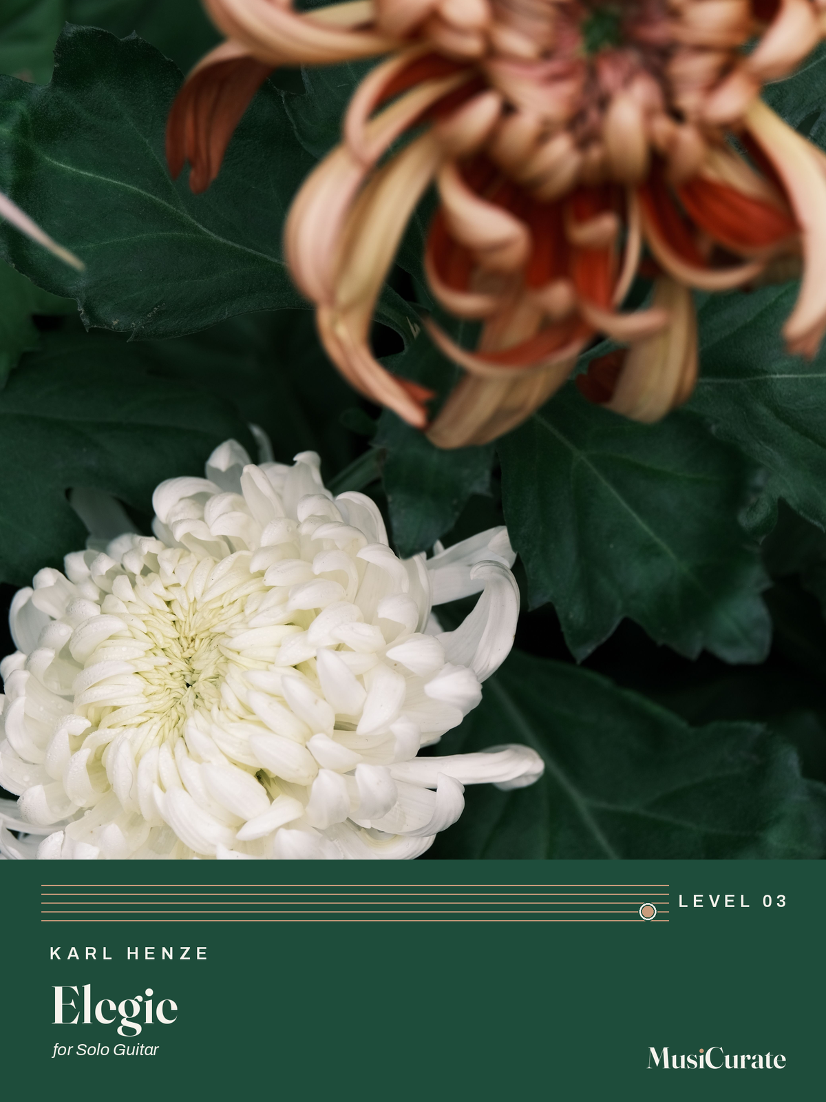 Elegie: front cover