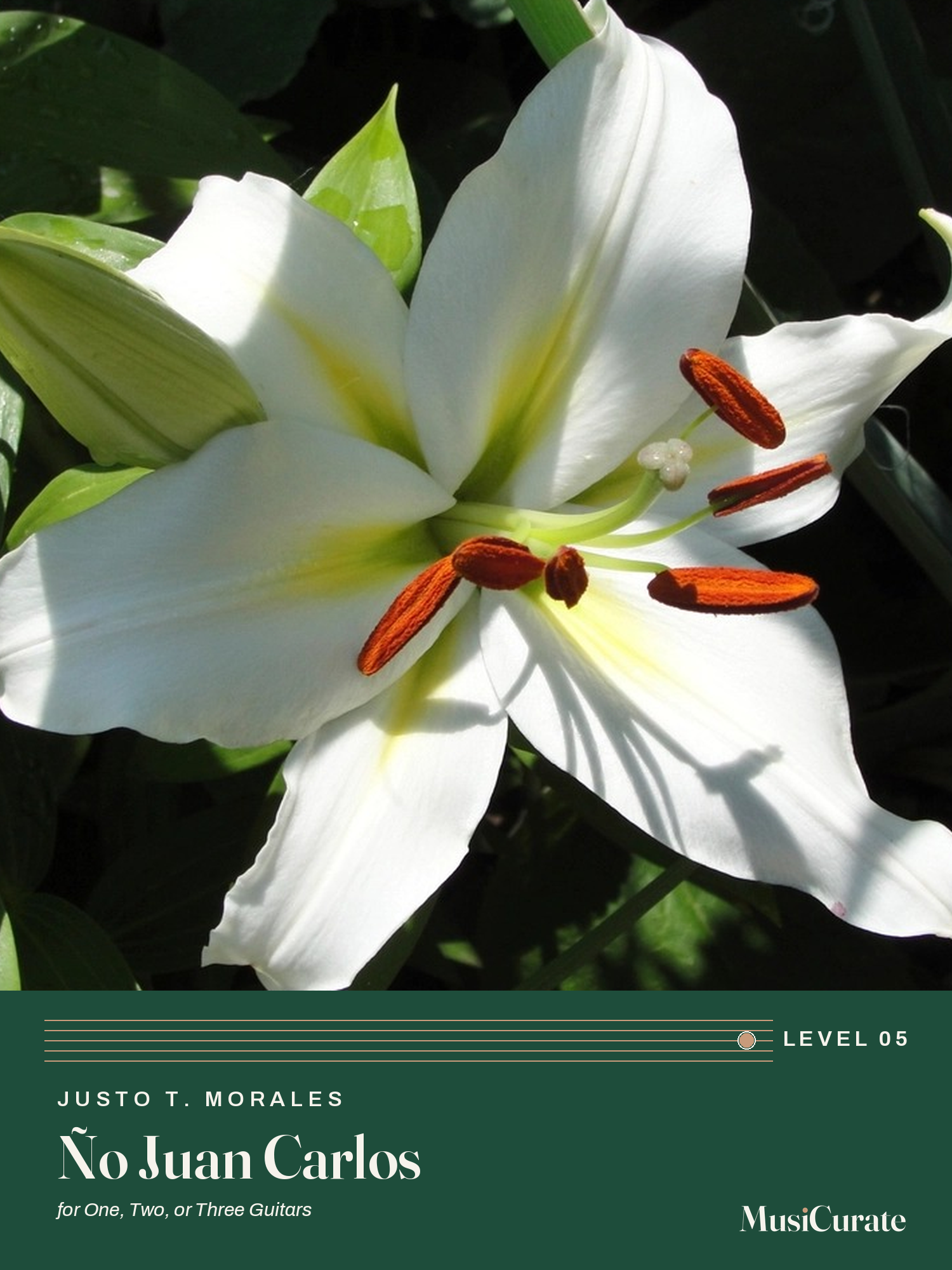 No Juan Carlos MusiCurate cover