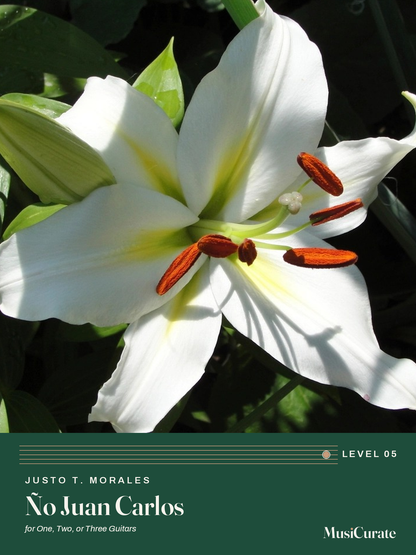 No Juan Carlos MusiCurate cover