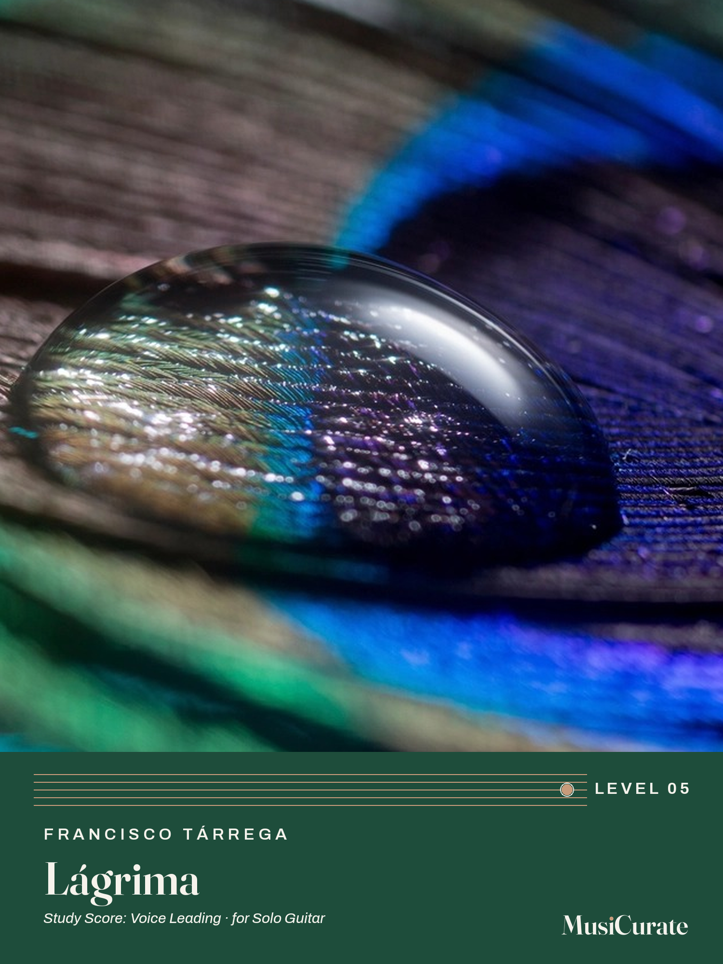 Lagrima MusiCurate cover