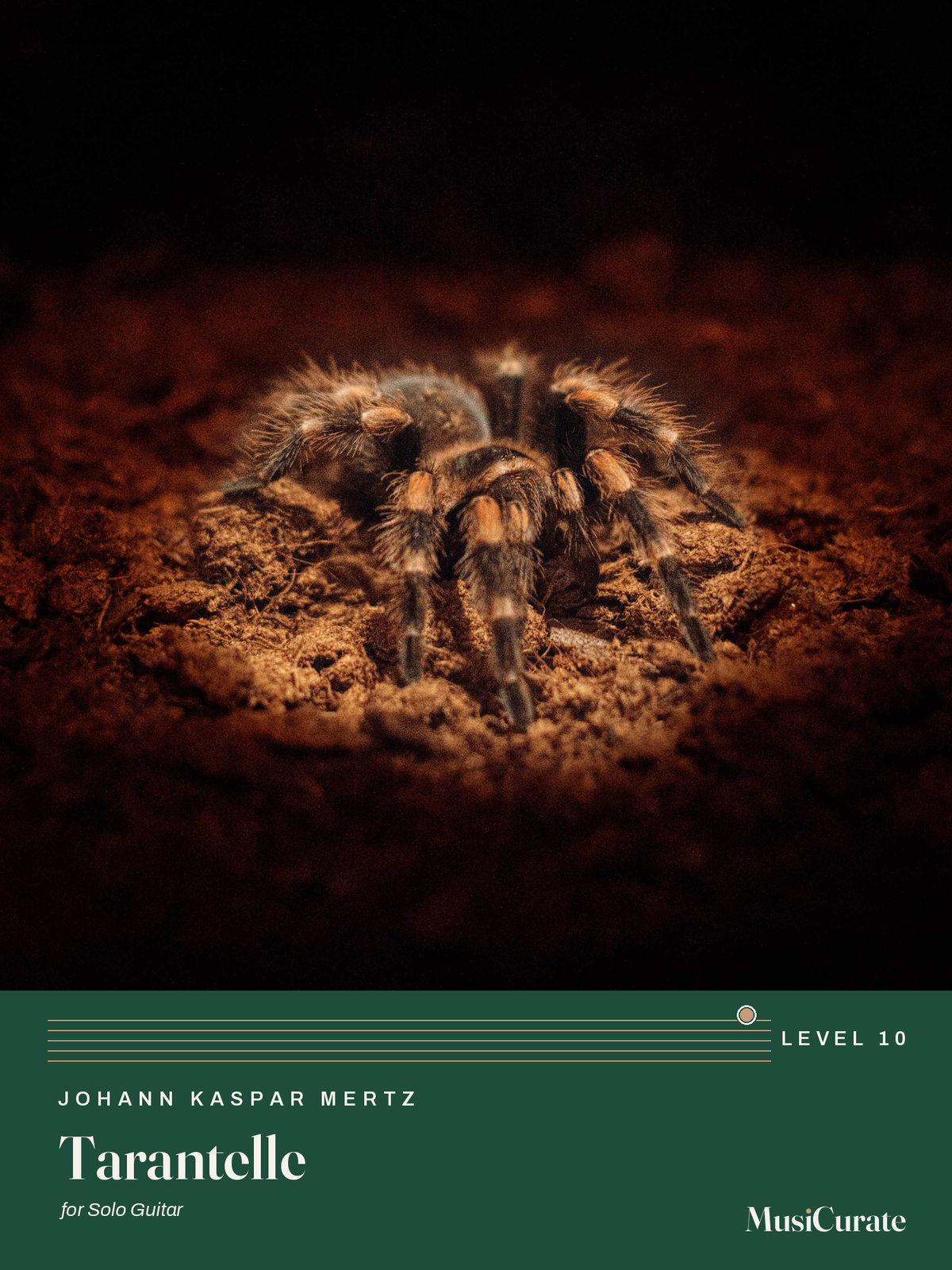 Tarantelle: front cover