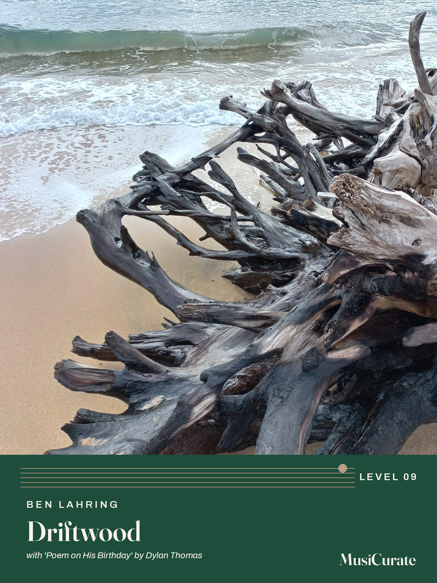 Driftwood MusiCurate cover
